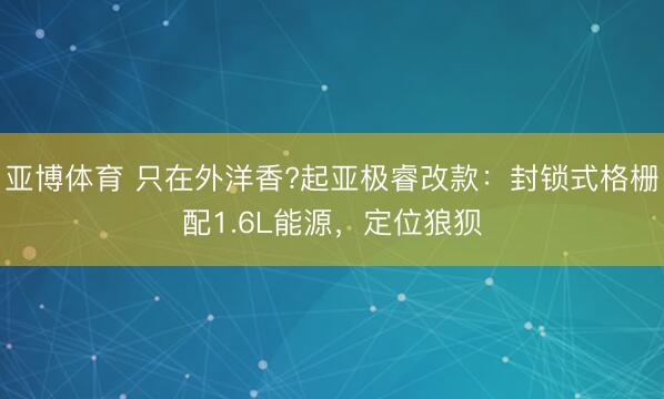 亚博体育 只在外洋香?起亚极睿改款：封锁式格栅配1.6L能源，定位狼狈