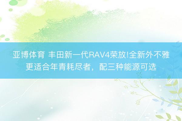 亚博体育 丰田新一代RAV4荣放!全新外不雅更适合年青耗尽者,配三种能源可选