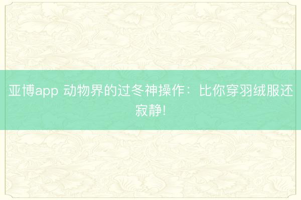 亚博app 动物界的过冬神操作:比你穿羽绒服还寂静!