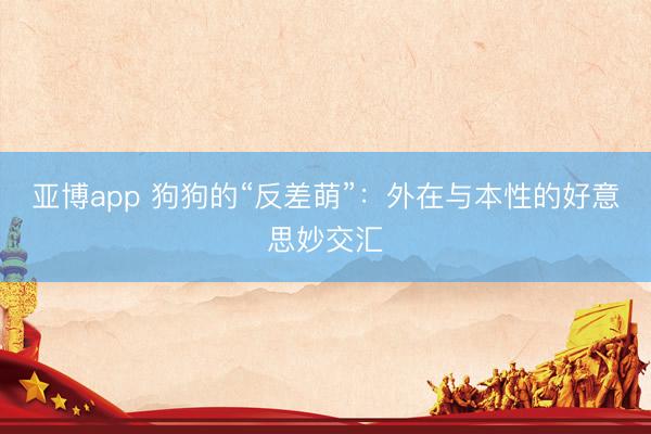 亚博app 狗狗的“反差萌”：外在与本性的好意思妙交汇