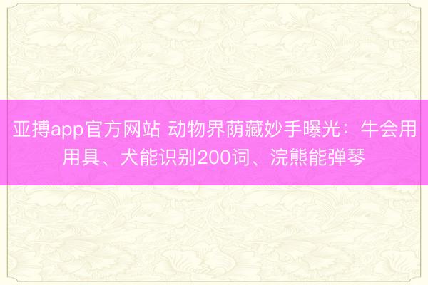 亚搏app官方网站 动物界荫藏妙手曝光:牛会用用具、犬能识别200词、浣熊能弹琴