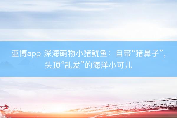 亚博app 深海萌物小猪鱿鱼：自带“猪鼻子”，头顶“乱发”的海洋小可儿