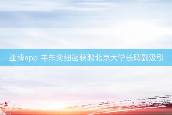 亚博app 韦东奕细密获聘北京大学长聘副汲引