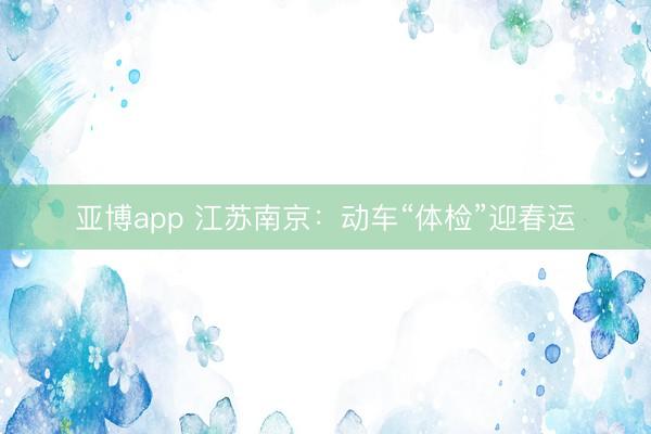 亚博app 江苏南京：动车“体检”迎春运