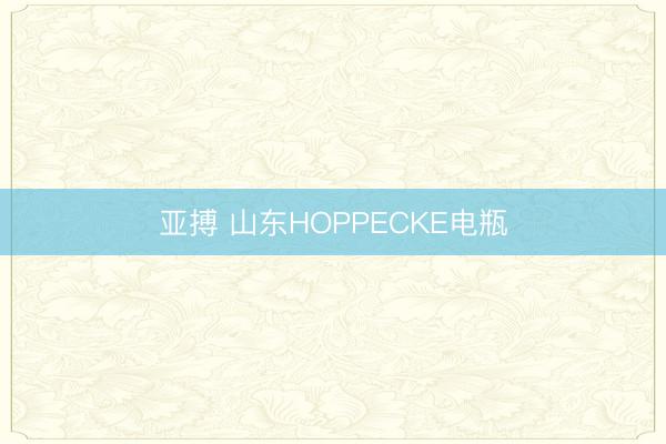 亚搏 山东HOPPECKE电瓶