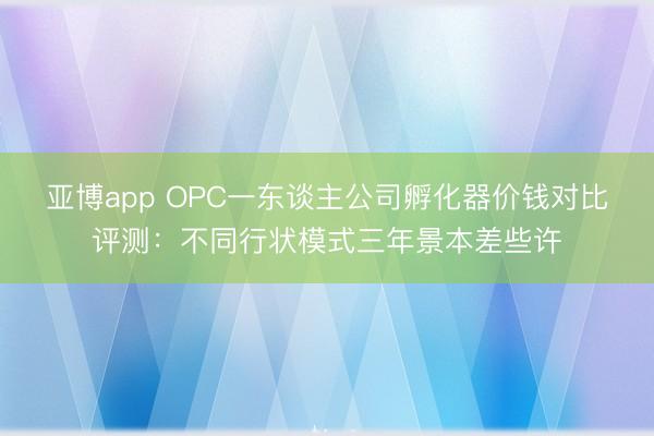 亚博app OPC一东谈主公司孵化器价钱对比评测：不同行状模式三年景本差些许