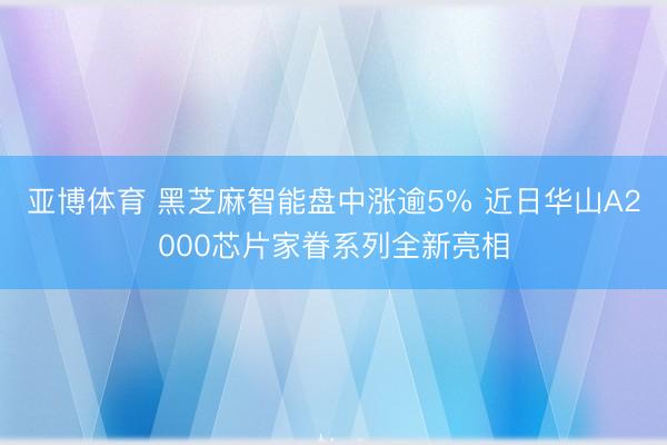 亚博体育 黑芝麻智能盘中涨逾5% 近日华山A2000芯片家眷系列全新亮相