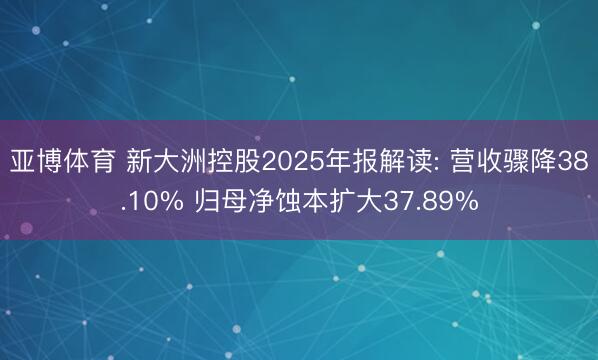 亚博体育 新大洲控股2025年报解读: 营收骤降38.10% 归母净蚀本扩大37.89%