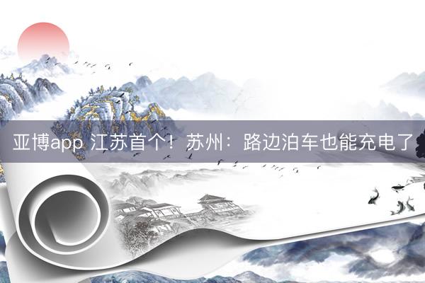 亚博app 江苏首个！苏州：路边泊车也能充电了