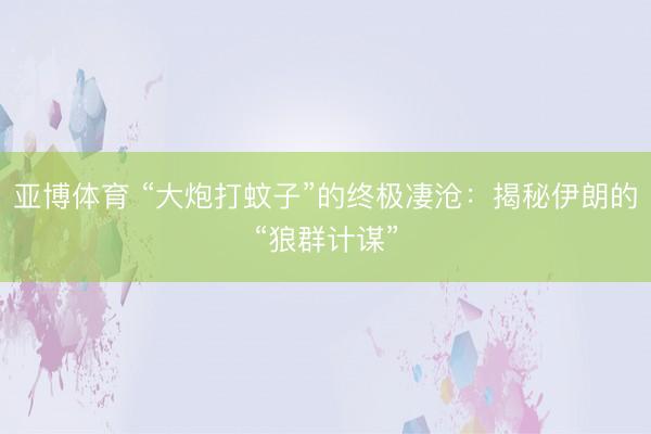 亚博体育 “大炮打蚊子”的终极凄沧：揭秘伊朗的“狼群计谋”