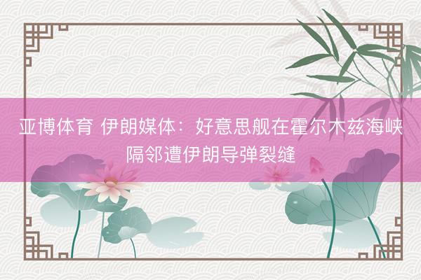 亚博体育 伊朗媒体：好意思舰在霍尔木兹海峡隔邻遭伊朗导弹裂缝