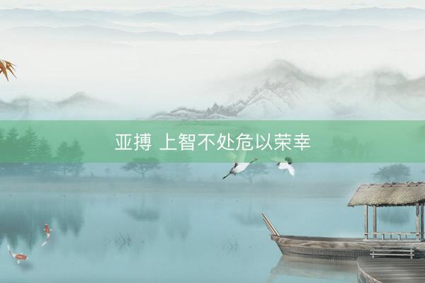 亚搏 上智不处危以荣幸