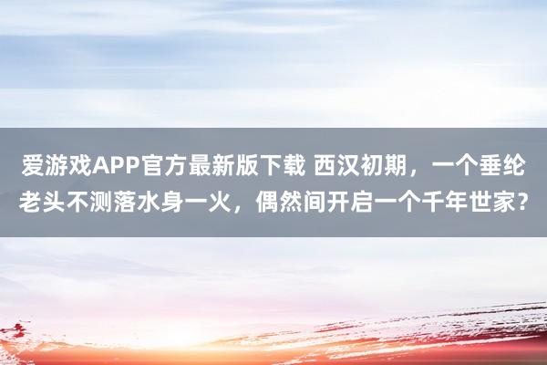 爱游戏APP官方最新版下载 西汉初期，一个垂纶老头不测落水身一火，偶然间开启一个千年世家？