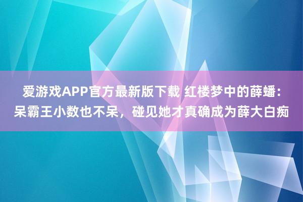 爱游戏APP官方最新版下载 红楼梦中的薛蟠：呆霸王小数也不呆，碰见她才真确成为薛大白痴