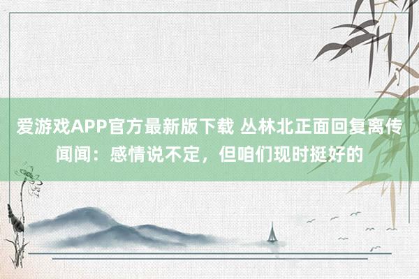 爱游戏APP官方最新版下载 丛林北正面回复离传闻闻：感情说不定，但咱们现时挺好的