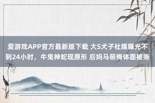 爱游戏APP官方最新版下载 大S犬子社媒曝光不到24小时,牛鬼神蛇现原形 后妈马筱梅体面被撕