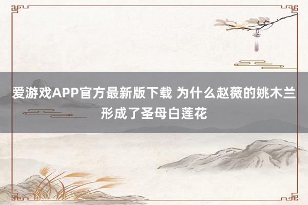 爱游戏APP官方最新版下载 为什么赵薇的姚木兰形成了圣母白莲花