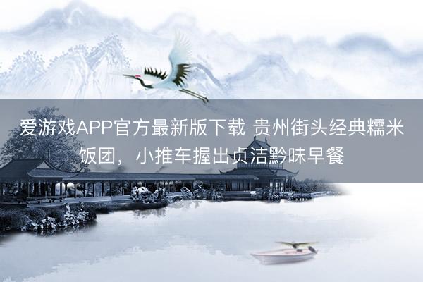 爱游戏APP官方最新版下载 贵州街头经典糯米饭团，小推车握出贞洁黔味早餐