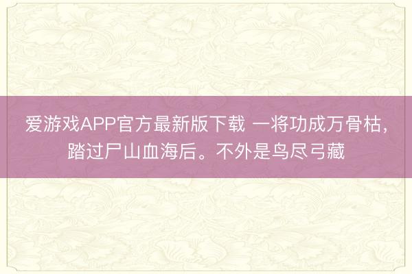 爱游戏APP官方最新版下载 一将功成万骨枯,踏过尸山血海后。不外是鸟尽弓藏