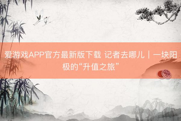 爱游戏APP官方最新版下载 记者去哪儿|一块阳极的“升值之旅”