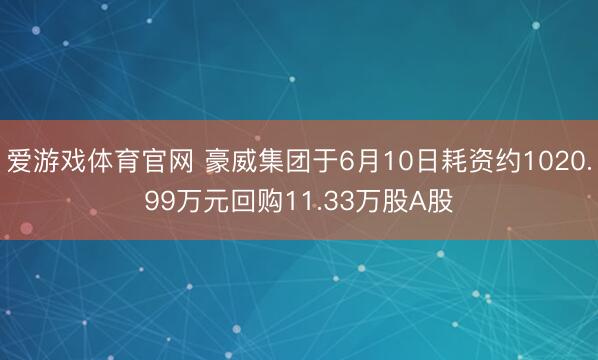 爱游戏体育官网 豪威集团于6月10日耗资约1020.99万元回购11.33万股A股
