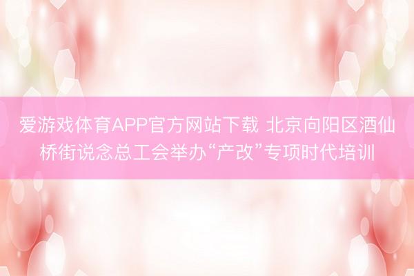 爱游戏体育APP官方网站下载 北京向阳区酒仙桥街说念总工会举办“产改”专项时代培训