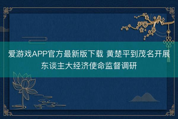 爱游戏APP官方最新版下载 黄楚平到茂名开展东谈主大经济使命监督调研